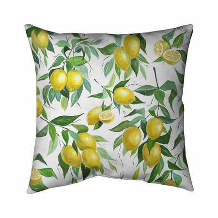 FONDO 20 x 20 in. Lemon Pattern-Double Sided Print Indoor Pillow FO2798724